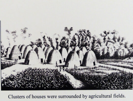 Artist rendition of Wichita houses. Depicts many domed huts surrounded by crop fields.
