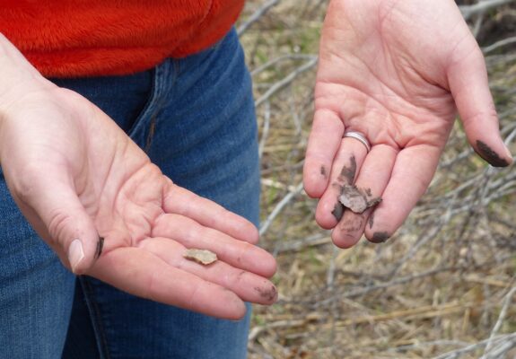 Muddy hands hold two chipped stone artifacts.