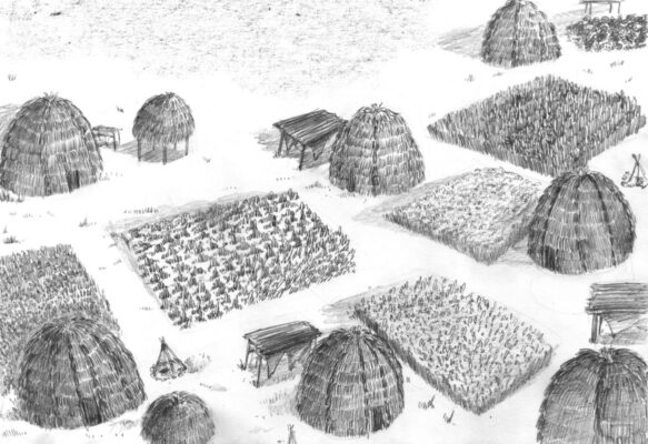 Artist depiction of Etzanoa with dome shaped grass houses and small agricultural fields throughout.