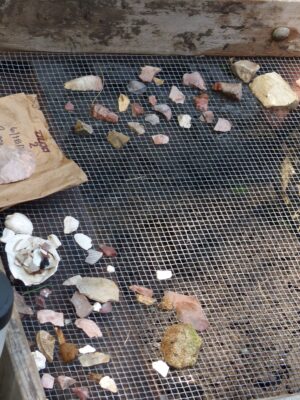 Chipped stone and shell artifacts in a screen.